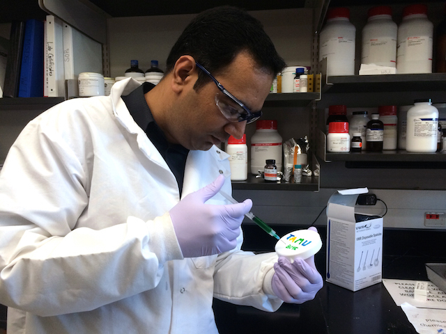 Gaharwar in labcoat and protective gear, using pipette
